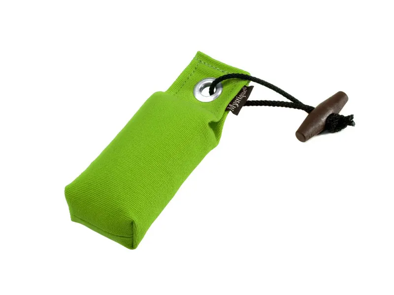 Mystique gundog shop