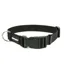 Mystique Dog Nylon Collar 25mm 30/40cm in Black