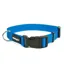 Mystique Dog Nylon Collar 25mm 30/40cm in Blue