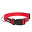 Mystique Dog Nylon Collar 25mm 30/40cm in Red