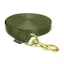 Mystique Dog Nylon Tracking/Training  Leash 20mm / 10mtr in Kahki