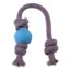 Beco Natural Rubber Ball on Rope Small Blue