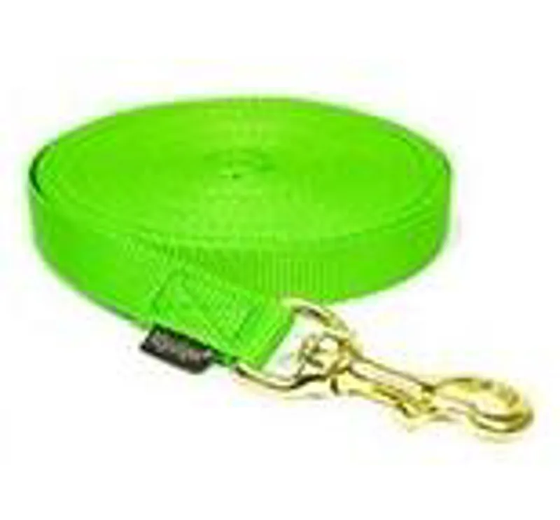 Mystique dog sales training equipment